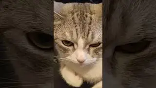 Очень ценные указания