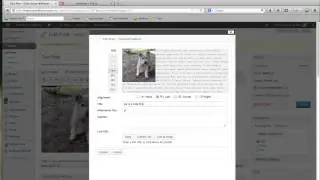 How to Use PInButton Attraction Plugin for WordPress