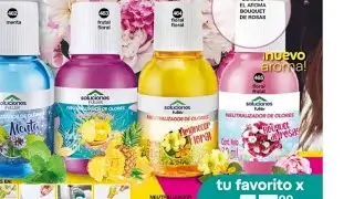 NUEVO Neutralizador de olores BOUQUET de ROSAS Fuller