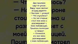 Два приятеля идут по улице.. анекдот про любовницу и жену!