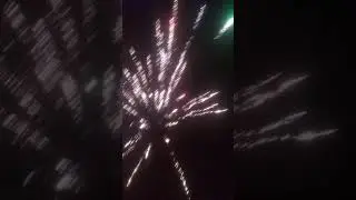 24 февраля 2020 г.