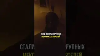 Что такое "Медельин"? Колумбийский картель VS Мексика #просвещенный #бизнес #саморазвитие