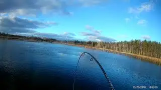 Осенний монстр