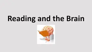 READING AND THE BRAIN: THE 3 CUEING SYSTEMS