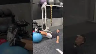 Swiss Ball Supine Ball Plank (Instructional)