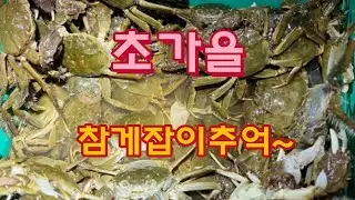 초가을밤 임진강 참게잡이의추억~~ 2021.9.1.  끝까지보고 좋아요 댓글남겨주시면 참게복이 터질꺼에요~