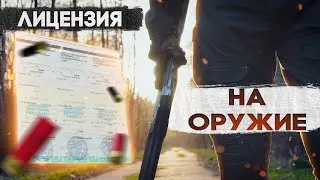 Как получить лицензию на оружие в 2026 году? Пошаговая инструкция