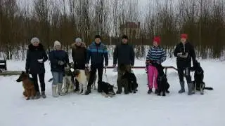 Поздравление с новосельем Николая Проплан