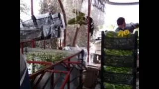 Barcın Muz Deposu yapılışı