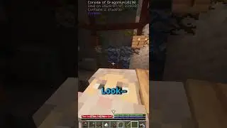 A Very Curious Hat #minecraft #funny #shorts