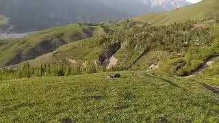 Гарм 👍Garm🤝Рашт