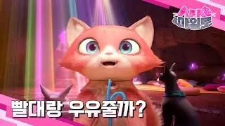 [샤샤&마일로🐾] 감옥인 줄 알았는데 사실은 고양이 호텔❓❗