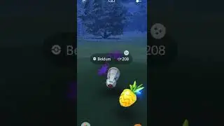 POV: You Finally Find A Shiny Shadow Beldum!!!