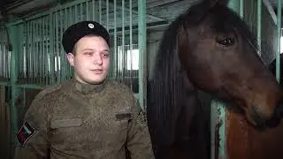 Программа «Полицейский вестник», выпуск № 579