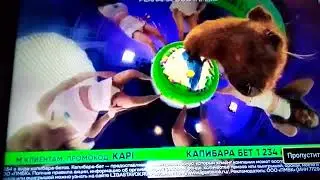 лига ставок реклама девочки бобер