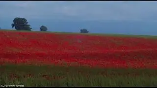 Respublika Gününüz mübarək!  Happy Republic Day!