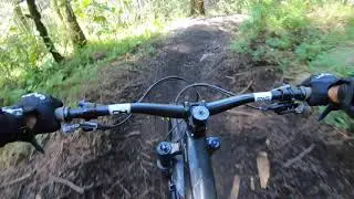 Previo PE3, 3/4 Pablo Honey - LoboEnduro