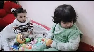 @dibfuntv5311