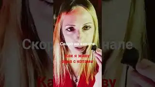 Как я живу одна с котами. Скоро на канале #анонс #shortvideo #выживание