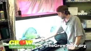 Organic Growing Methods with Hydroponics