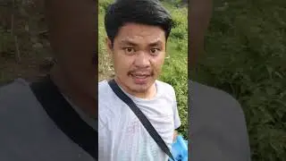 Paano gamitin ang Oriental Herbal Nutrients (OHN) para sa mga halaman