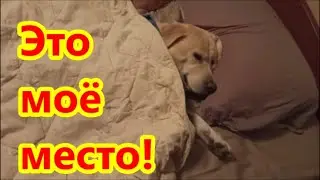 10 billion views The funniest video!