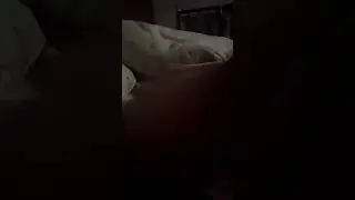 Ту ту ту ту ту ту ту ту ту ту ту ту ту ту