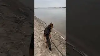 Арни молодец 
