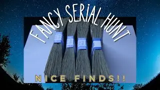 $400 Single Dollar Bill Fancy Serial Number Hunt! | Some Finds!