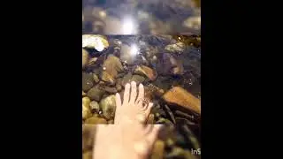 Видео рыба в реке Отдых на речке Рыбалка