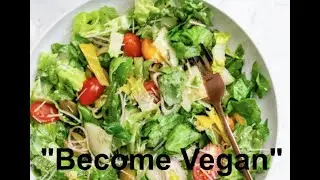 When you try to get advice from The Vegan Teacher...