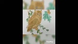 Выразительное чтение В. Бианки "Сова"