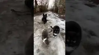 Железная выдержка!