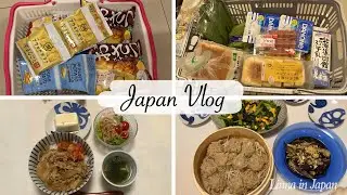 shopping at Daiso, go museum in Tokyo, grocery shopping, make shumai | japan vlog