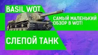 САМЫЙ МАЛЕНЬКИЙ ОБЗОР В WORLD OF TANKS!