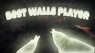 What One Of The BEST Walls Player Looks Like