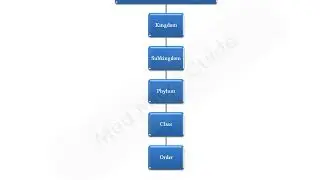 General characteristics and classification of Protozoa lecture