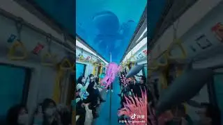 супер светошоу китайцы рулят