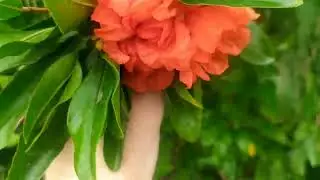 Из морской локации - в цветочную. Воскресная прогулка