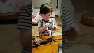 Реакция на новые игрушки