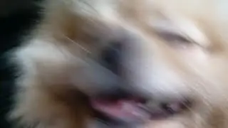 ыхыхыхыхыххы0)0)0)0)0)