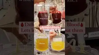 Different Blood Components 🩸🩸