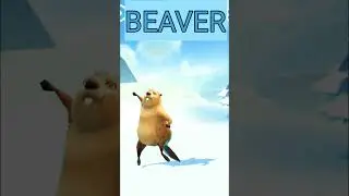 beaver dancing video for kids 