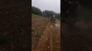 İşbora ile çift sürme