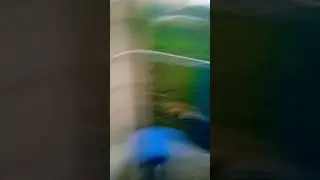пон
