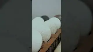 Everyday life at the office