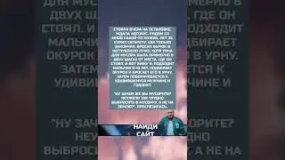 История из жизни