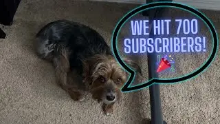 🎉WE HIT 700 SUBSCRIBERS!!🎉