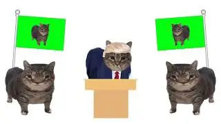 Donald Trump OIIA OIIA CAT saying 