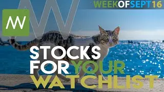 Top Stocks For This Week That You Should Have on Your Watch List! ( Week of Sept 16 )